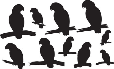 Silhouette of an African Grey Parrot
