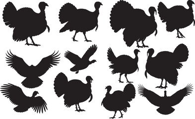 Turkey Silhouette