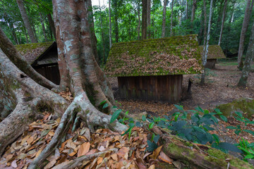 Obraz premium The Military Political School is a real place where the Communist Party used to teach administration decades ago, located in the middle of the forest in Phu Hin Rong Kla National Park, Phitsanulok