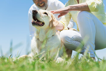 海の見える丘で愛犬と触れ合うシニア夫婦