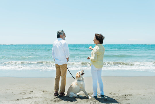 愛犬を連れて浜辺を散歩するシニア夫婦