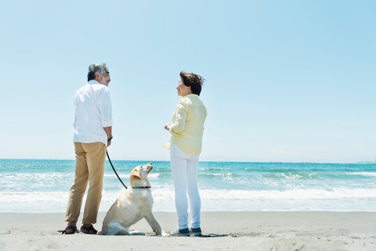 愛犬を連れて浜辺を散歩するシニア夫婦