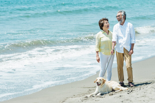 愛犬を連れて浜辺を散歩するシニア夫婦