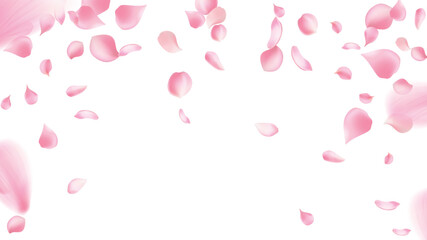 Cherry Petals Dancing in the Wind Frame, Background