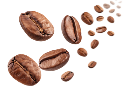 Realistic Coffee Beans PNG Image – Isolated Roasted Coffee Seeds on Transparent Background