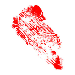 Ruby Shoe Print on Black Backdrop A Detailed Footwear Impression for Dark Designs