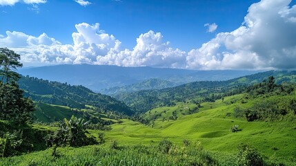 Fototapeta premium Scenic rolling green hills under a blue sky with white clouds, a peaceful and tranquil nature view.