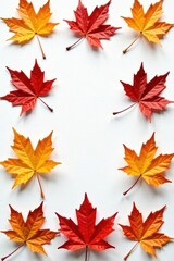 Delicate maple leaves scattered on white paper, isolated, foliage, nature