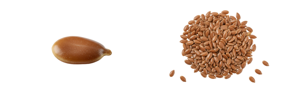 A single flax seed and a pile of flax seeds on a white surface view transparent background