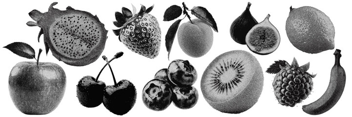 Set of fruit halftone grunge vector design elements