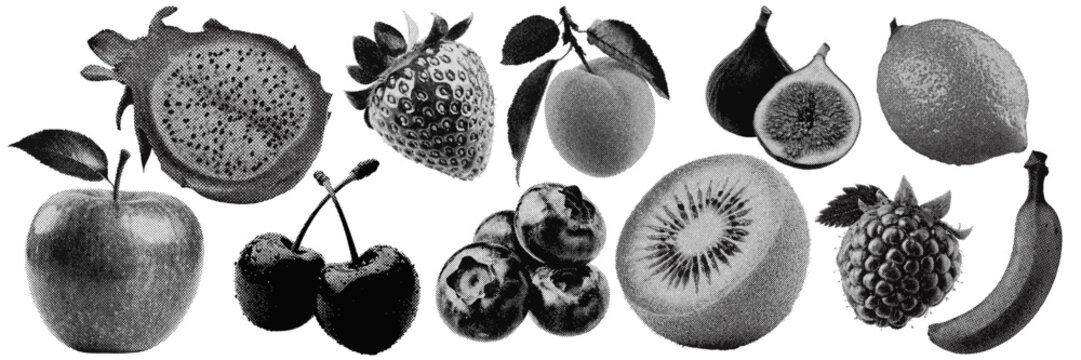 Set of fruit halftone grunge vector design elements
