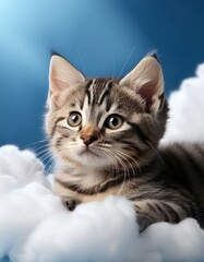 Dreamy Tabby Kitten Resting Peacefully on a Fluffy Cloud