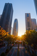 Obraz premium 西新宿・夜明け