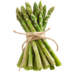 Asparagus PNG Bundle on transparent background