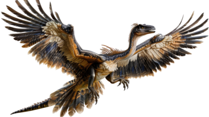 Soaring Raptor: An impressive illustration of a raptor, a prehistoric creature, gliding through the air with its wings spread, showcasing intricate feather details and a dynamic pose.