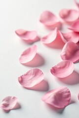 Fototapeta premium Delicate flower petals scattered on a pure white surface, delicate, closeup