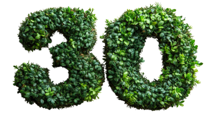 "Nature's Number: A vivid display of the number "30," artistically crafted from lush, vibrant greenery, adding a touch of natural elegance to any design."