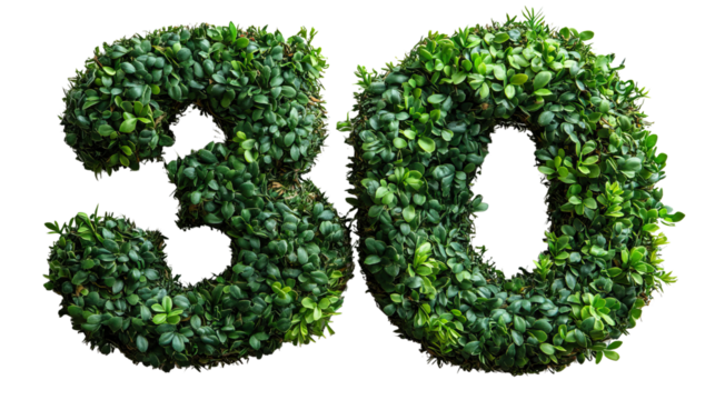 "Nature's Number: A vivid display of the number "30," artistically crafted from lush, vibrant greenery, adding a touch of natural elegance to any design." - Powered by Adobe