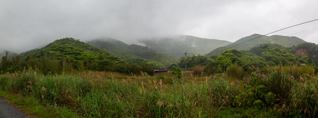 奄美大島の自然。新緑の季節。
