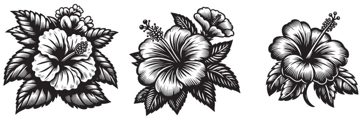Obraz premium Hibiscus flower in traditional woodcut drawing, black and white botanical illustration