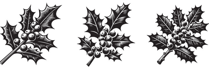 Fototapeta premium Holly twig in traditional woodcut drawing, black and white botanical illustration