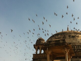 An old monument, the humayuns tomb is a beautiful tomb visited by travellers and loved by visitors