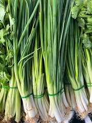 green spring onion in a market