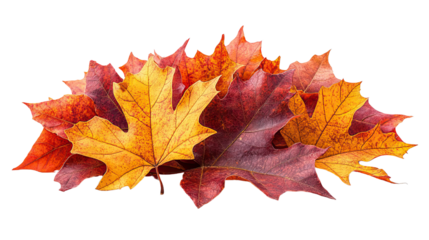 Autumn's Embrace: A vibrant collection of autumn leaves in varying shades of red, orange, and yellow, depicting the beauty of fall