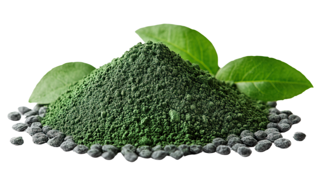 Green Powder & Green Leaves: A vibrant display of green powder, elegantly arranged with fresh green leaves. It's a visually striking presentation.