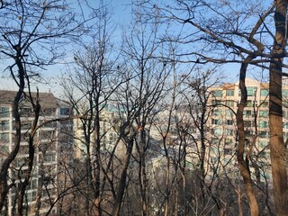 Seoul Beautiful city in South Korea