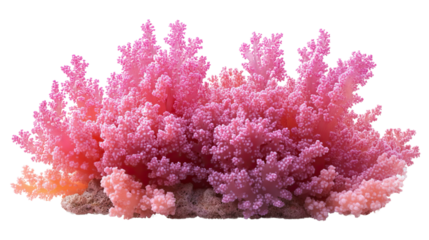 Pink and purple flowers blooming in a garden with lush green leaves and a vibrant spring atmosphere