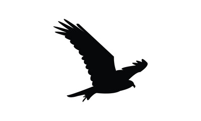 Flying African marsh harrier bird Silhouette Design  And Vector Illustration. 
