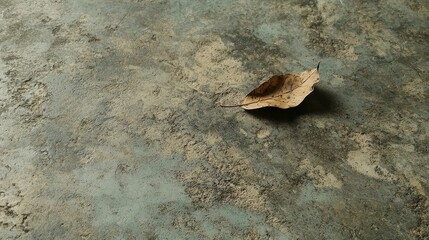 Fototapeta premium Dried leaf rests on textured, mottled surface.