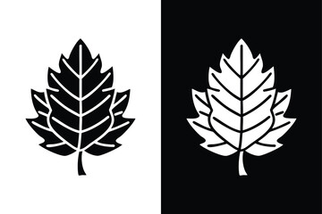 Fototapeta premium Conifer Pine Leaf Silhouette. Classic Black & White Nature Symbol