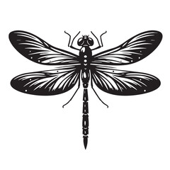 Black Dragonfly Silhouette Vector, High Quality Illustration on White Background