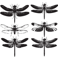 Black Dragonfly Silhouette Vector, High Quality Illustration on White Background