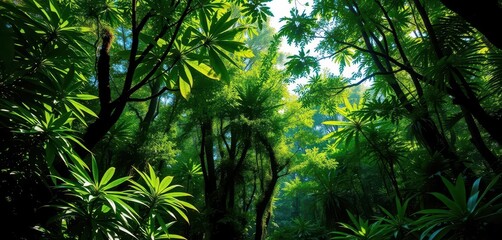 Fototapeta premium Dense emerald canopy, sunlight dappling rainforest floor, wildlife, vibrant, lush