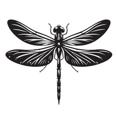Black Dragonfly Silhouette Vector, High Quality Illustration on White Background