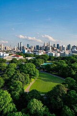 Naklejka premium a view of a city skyline with a park and a park in the foreground