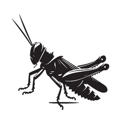 Black Grasshopper Silhouette Vector, High Quality Illustration on White Background