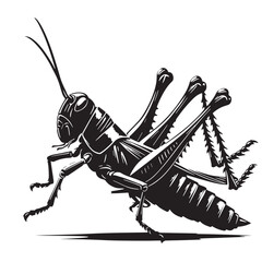 Black Grasshopper Silhouette Vector, High Quality Illustration on White Background
