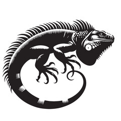 Black Iguana Silhouette Vector, High Quality Illustration on White Background