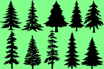 Set of different silhouette of pine trees isolated on green background. 10 pine trees vector in black icon. Design for christmas elements, packaging, and christmas wallpaper. Simple pine trees vector