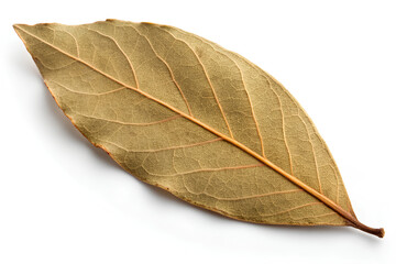 Obraz premium Dried Bay Leaf Isolated on White Background