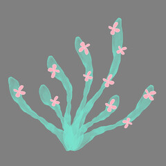 Corals with flowers 