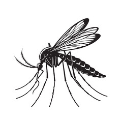 Black Mosquito Silhouette Vector, High Quality Illustration on White Background