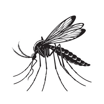 recommend clip art: Black Mosquito Silhouette Vector, High Quality Illustration on White Background
