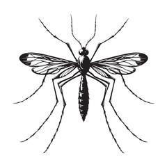 Black Mosquito Silhouette Vector, High Quality Illustration on White Background