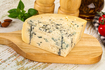 Gourmet blue cheese with mold