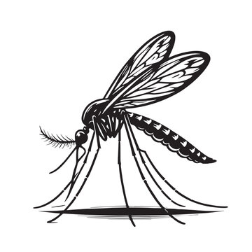 recommend clip art: Black Mosquito Silhouette Vector, High Quality Illustration on White Background